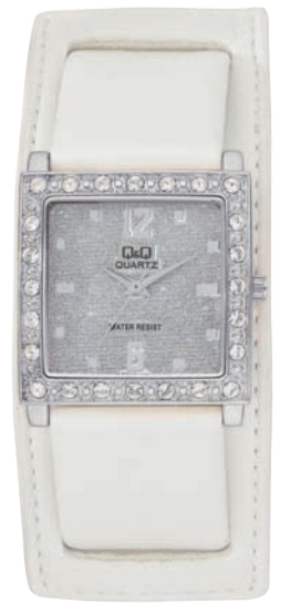 QQ Q763-301