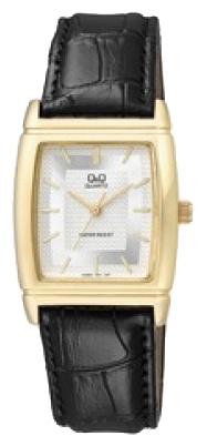 QQ Q880-101