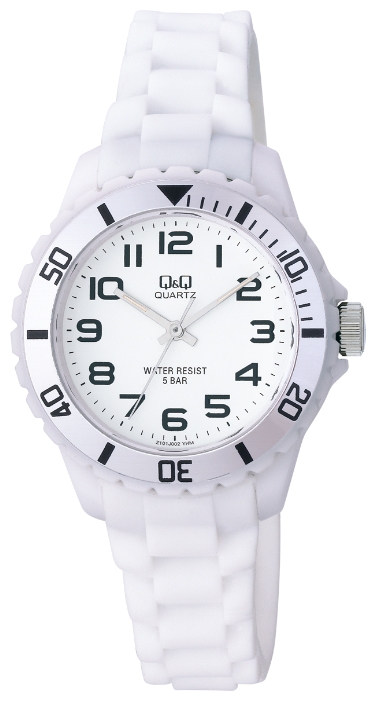 QQ Z101-002